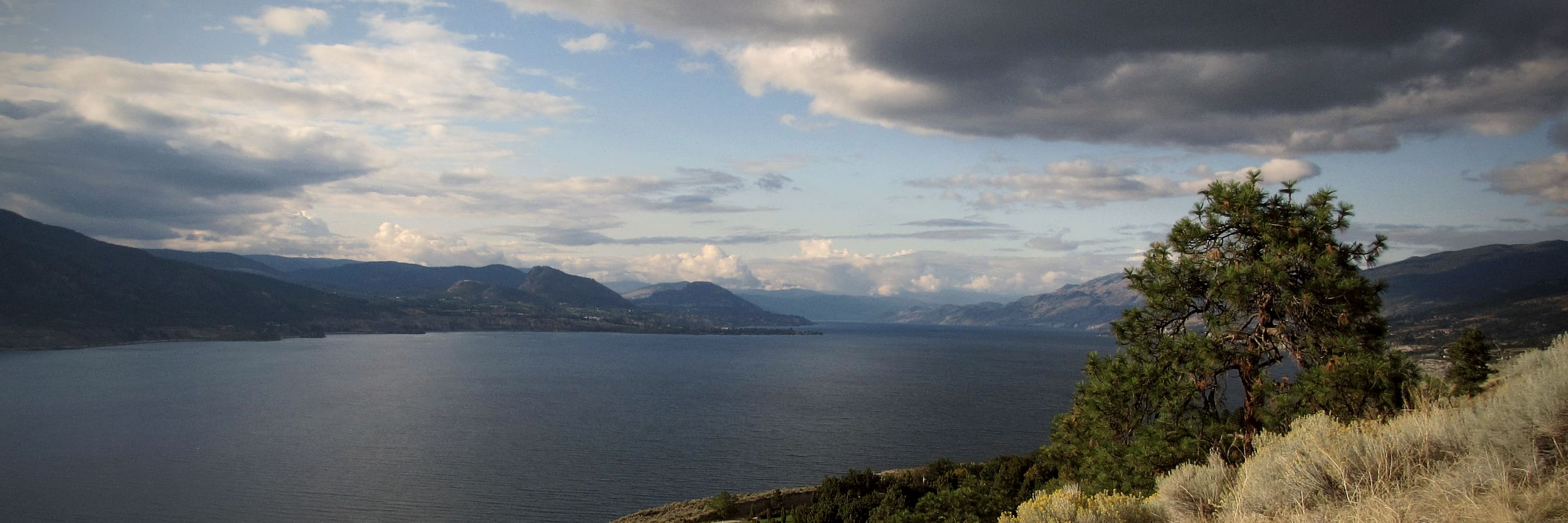 Okanagan Lake from the hillside above Penticton, a pine on the slope and clouds over the water.